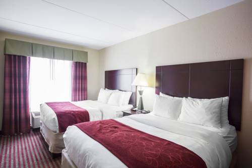 Imagen de la habitación del Hotel Comfort Suites Mt. Juliet - Nashville Area. Foto 3