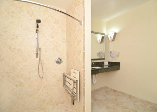 Imagen de la habitación del Hotel Comfort Suites Mt. Juliet - Nashville Area. Foto 13