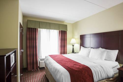 Imagen de la habitación del Hotel Comfort Suites Mt. Juliet - Nashville Area. Foto 14