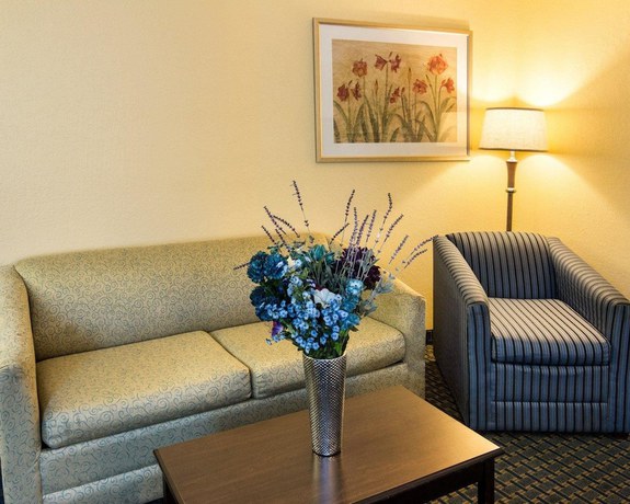 Imagen de la habitación del Hotel Comfort Suites Nacogdoches. Foto 3