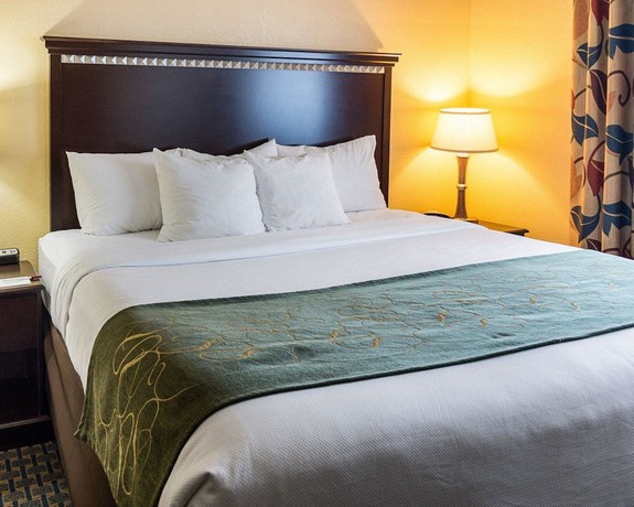 Imagen de la habitación del Hotel Comfort Suites Nacogdoches. Foto 7