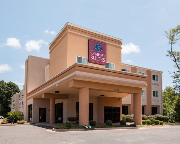 Imagen general del Hotel Comfort Suites Nacogdoches. Foto 1