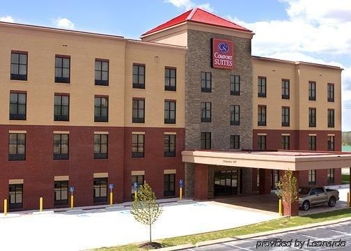 Imagen general del Hotel Comfort Suites Nashville. Foto 4