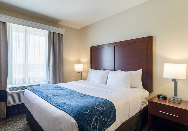 Imagen de la habitación del Hotel Comfort Suites Near Denver Downtown. Foto 4