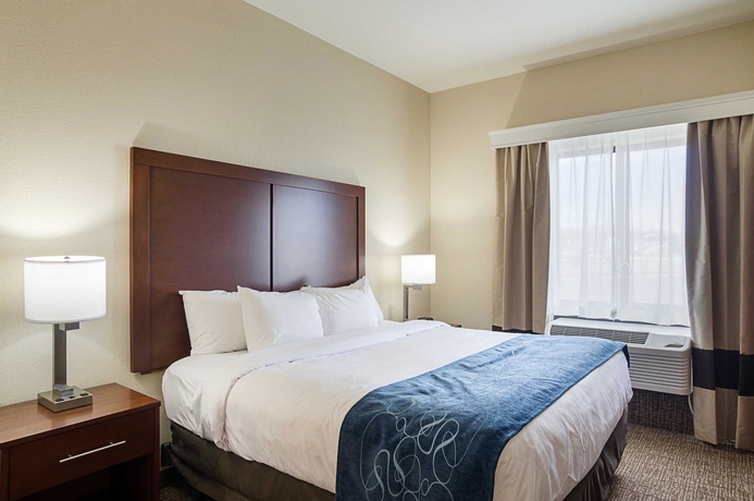 Imagen de la habitación del Hotel Comfort Suites Near Denver Downtown. Foto 6