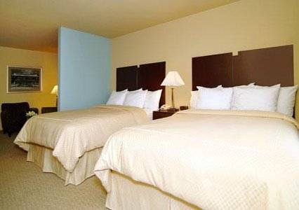Imagen de la habitación del Hotel Comfort Suites Near Hot Springs Park. Foto 2