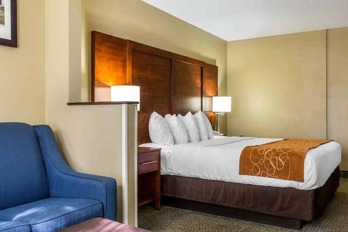 Imagen de la habitación del Hotel Comfort Suites Near I-80 And I-94. Foto 4