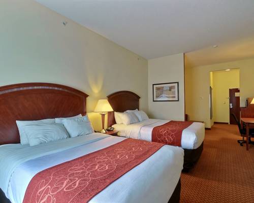 Imagen general del Hotel Comfort Suites Near Indianapolis Airport. Foto 1