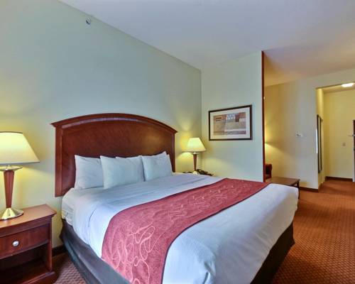 Imagen de la habitación del Hotel Comfort Suites Near Indianapolis Airport. Foto 6