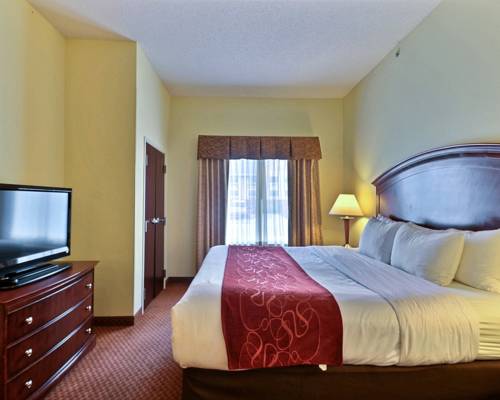 Imagen de la habitación del Hotel Comfort Suites Near Indianapolis Airport. Foto 7