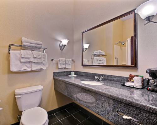 Imagen de la habitación del Hotel Comfort Suites Near Indianapolis Airport. Foto 8