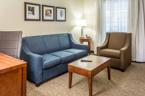 Imagen de la habitación del Hotel Comfort Suites Near Potomac Mills. Foto 8
