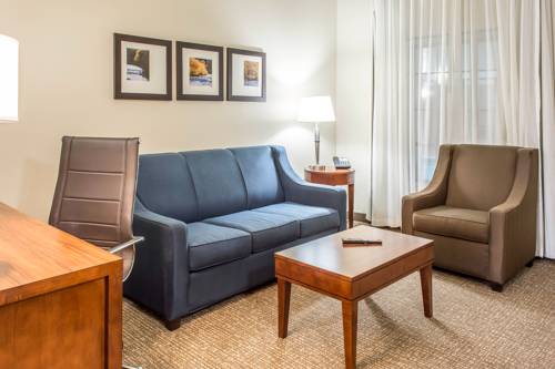 Imagen de la habitación del Hotel Comfort Suites Near Potomac Mills. Foto 9