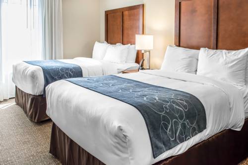 Imagen de la habitación del Hotel Comfort Suites Near Potomac Mills. Foto 10