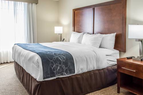 Imagen de la habitación del Hotel Comfort Suites Near Potomac Mills. Foto 13