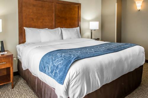 Imagen de la habitación del Hotel Comfort Suites Near Potomac Mills. Foto 14