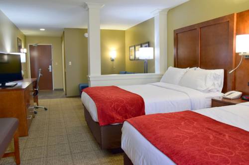 Imagen de la habitación del Hotel Comfort Suites Near Rainbow Springs Dunnellon. Foto 2