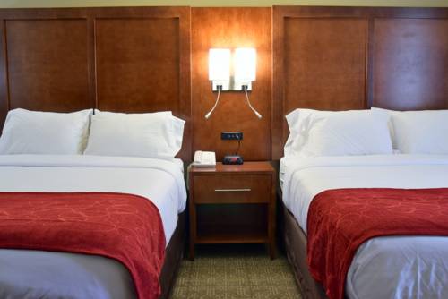 Imagen de la habitación del Hotel Comfort Suites Near Rainbow Springs Dunnellon. Foto 3