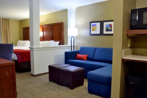 Imagen de la habitación del Hotel Comfort Suites Near Rainbow Springs Dunnellon. Foto 4