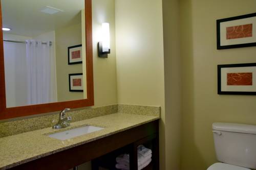Imagen de la habitación del Hotel Comfort Suites Near Rainbow Springs Dunnellon. Foto 6