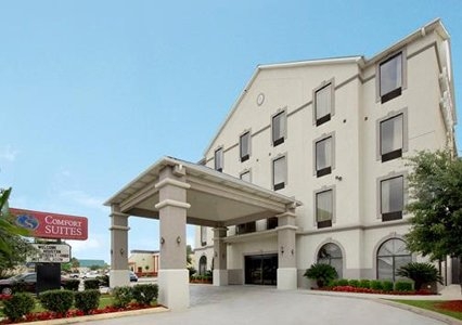 Imagen general del Hotel Comfort Suites Near Texas Medical Center - Nrg Stadium. Foto 1