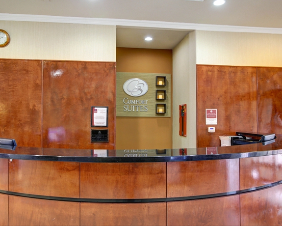 Imagen de los interiores del Hotel Comfort Suites Near Texas State University. Foto 15