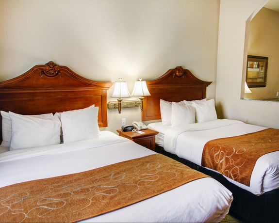 Imagen de la habitación del Hotel Comfort Suites Near Texas State University. Foto 12