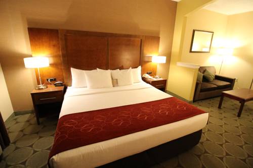 Imagen de la habitación del Hotel Comfort Suites Near University. Foto 7