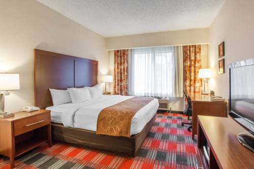 Imagen de la habitación del Hotel Comfort Suites Near Vancouver Mall. Foto 2