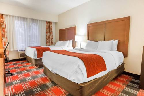 Imagen de la habitación del Hotel Comfort Suites Near Vancouver Mall. Foto 3