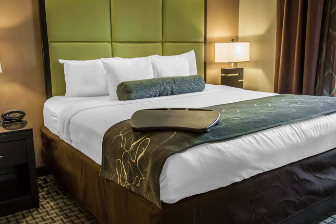 Imagen de la habitación del Hotel Comfort Suites, New Bern. Foto 7