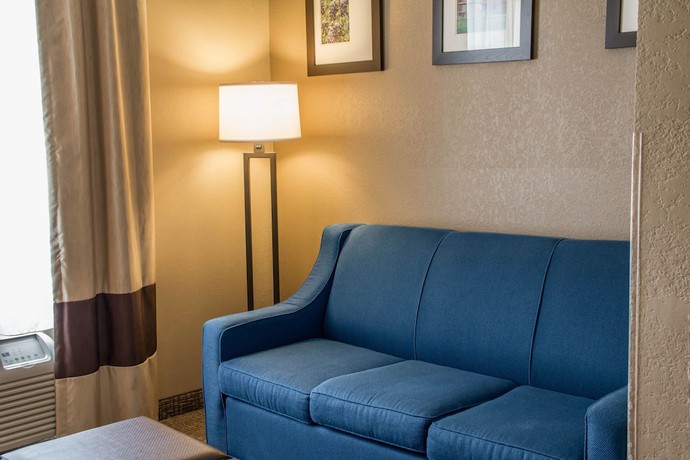 Imagen de la habitación del Hotel Comfort Suites - New Braunfels. Foto 3