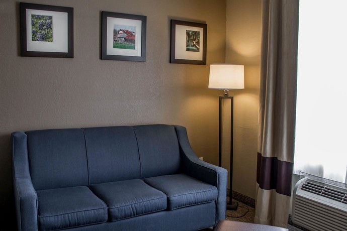 Imagen de la habitación del Hotel Comfort Suites - New Braunfels. Foto 4