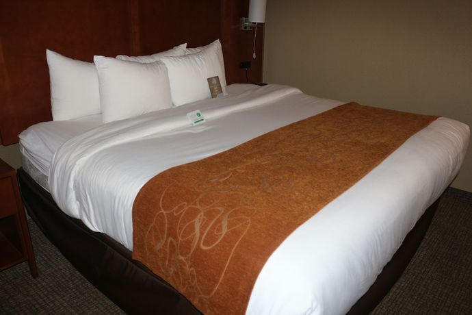 Imagen de la habitación del Hotel Comfort Suites - New Braunfels. Foto 5