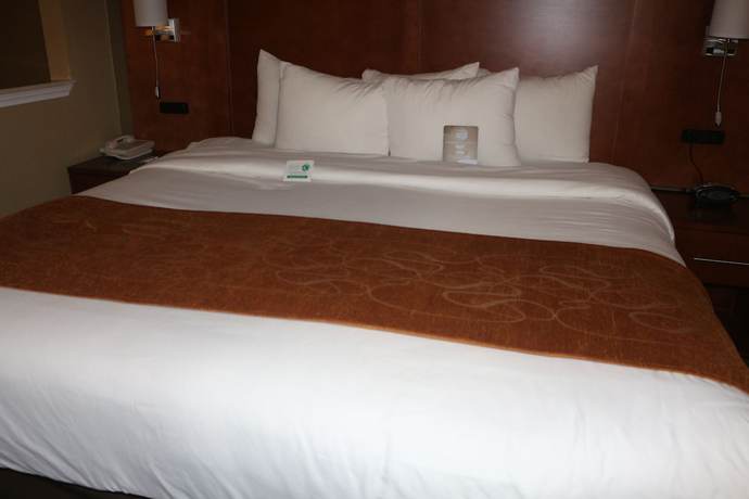 Imagen de la habitación del Hotel Comfort Suites - New Braunfels. Foto 10