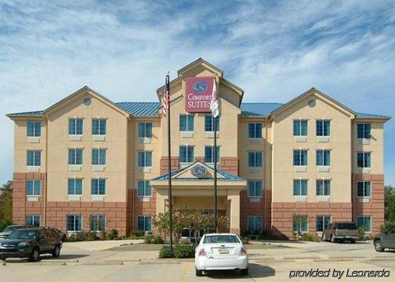 Imagen general del Hotel Comfort Suites New Orleans East. Foto 7