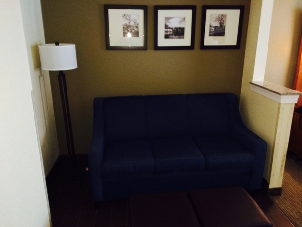 Imagen de la habitación del Hotel Comfort Suites Newark - Harrison. Foto 5