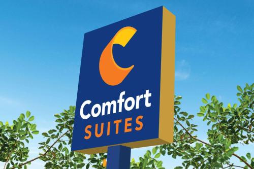 Imagen general del Hotel Comfort Suites, Newnan. Foto 2