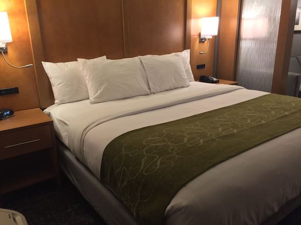 Imagen de la habitación del Hotel Comfort Suites North Charleston - Ashley Phosphate. Foto 10
