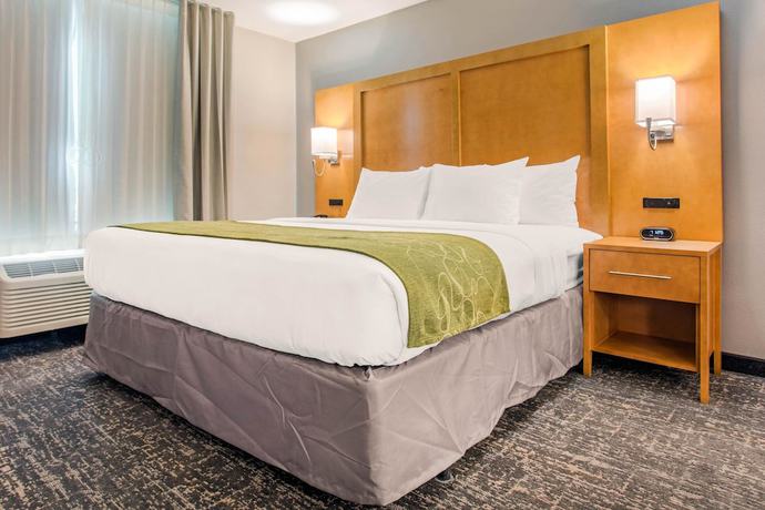 Imagen de la habitación del Hotel Comfort Suites North Charleston - Ashley Phosphate. Foto 11