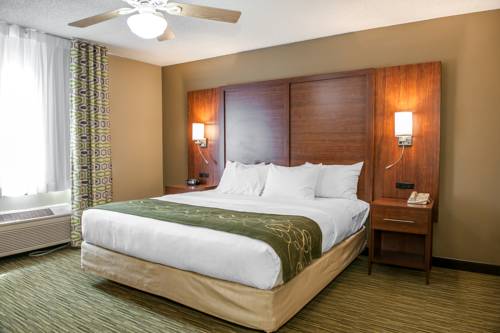 Imagen de la habitación del Hotel Comfort Suites North Elkhart. Foto 3