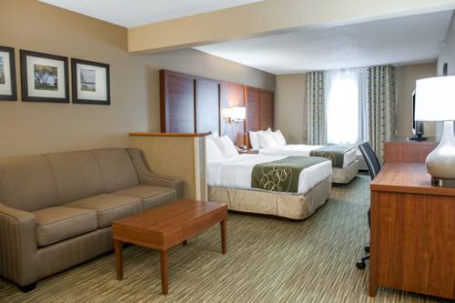 Imagen de la habitación del Hotel Comfort Suites North Elkhart. Foto 6