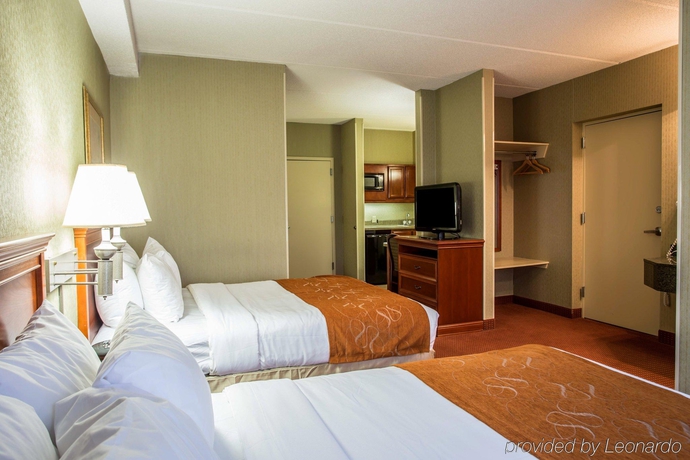 Imagen general del Hotel Comfort Suites Northlake. Foto 9