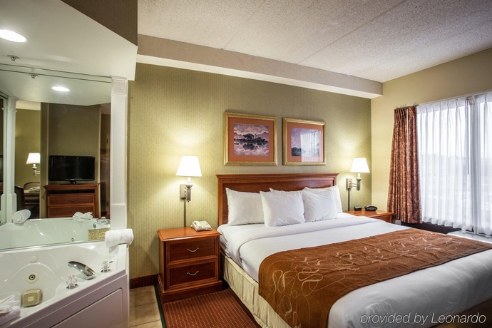 Imagen general del Hotel Comfort Suites Northlake. Foto 12