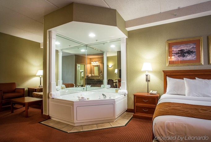 Imagen general del Hotel Comfort Suites Northlake. Foto 13