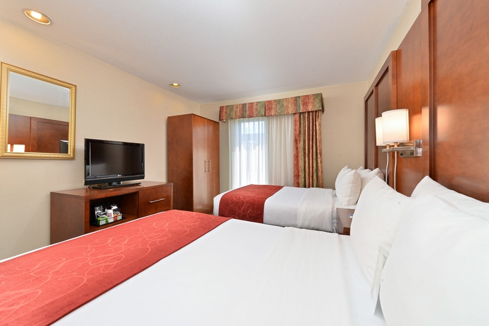 Imagen de la habitación del Hotel Comfort Suites Oakbrook Terrace Near Oakbrook Center. Foto 7