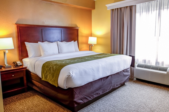 Imagen de la habitación del Hotel Comfort Suites Ocala North. Foto 9