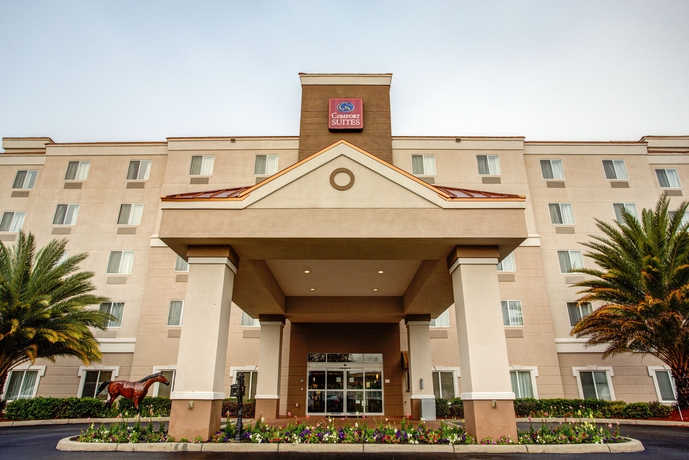 Imagen general del Hotel Comfort Suites Ocala North. Foto 3