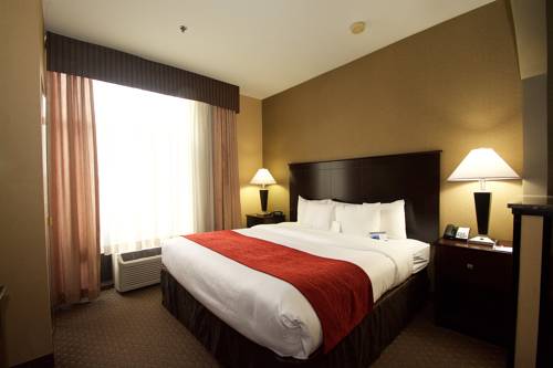 Imagen de la habitación del Hotel Comfort Suites Ogden. Foto 9