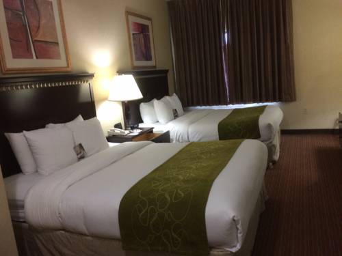 Imagen de la habitación del Hotel Comfort Suites Omaha East-council Bluffs. Foto 2
